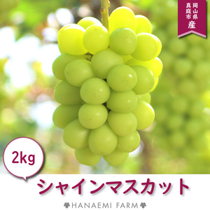 S-2 花笑み農園　岡山の『シャインマスカット』約２kg（３～４房）9月中旬～