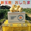 #令和5年　新玉ねぎ　おしたま