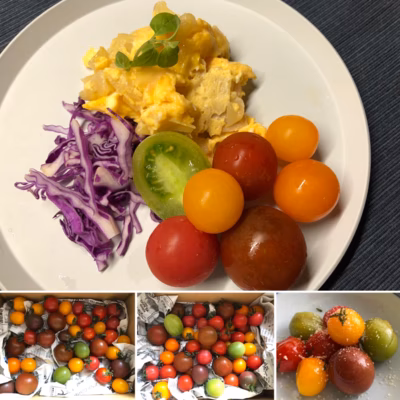 みんなの投稿の画像