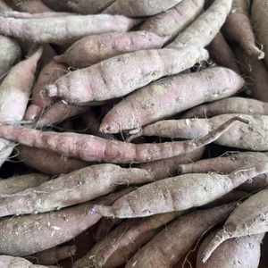 【訳あり】有機JAS認証さつまいも2kg・5kg