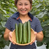 中村陽子