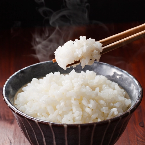 [新米]   新潟県産　にじのきらめき　5キロ　白米　令和5年産