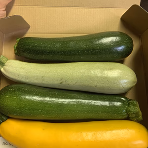 ④最安値！東京産！新鮮3色ズッキーニセット^ ^