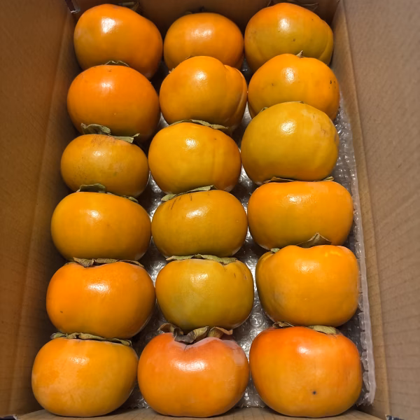 紀州の富有柿　約3.5〜4kg 