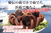 【5周年福袋】&【タコフェス】選べるおまけ付き⭐︎浜茹で地たこ(大サイズ)
