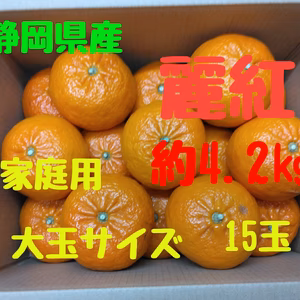 静岡県産　麗紅　家庭用　大玉サイズ　15玉　約4.2㎏