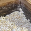 【自然栽培の玄米使用】やさしいKOJI 玄米麹（生麹）