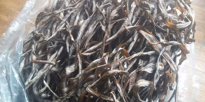 お代は物々交換で。〜大量のワカメが卵○○○個に？〜