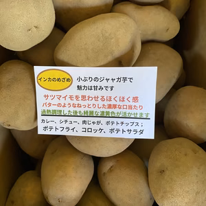 【lapis様専用】インカのめざめ 14kg（栽培期間中無農薬）