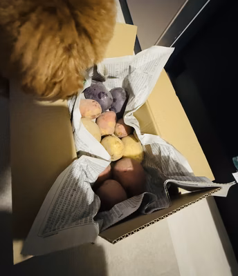 みんなの投稿の画像