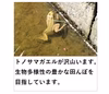 ＜玄米＞秋田のあきたこまち【令和6年産】定期購入 Rev.0