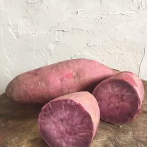 色鮮やか　紫芋　パープルスイートロード「栽培期間中農薬化学肥料不使用」