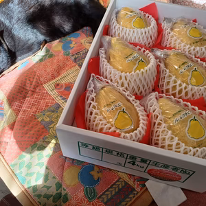 一点モノ！　超特大ルレクチエ　4㎏6玉