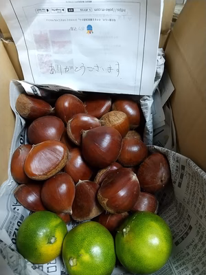 みんなの投稿の画像