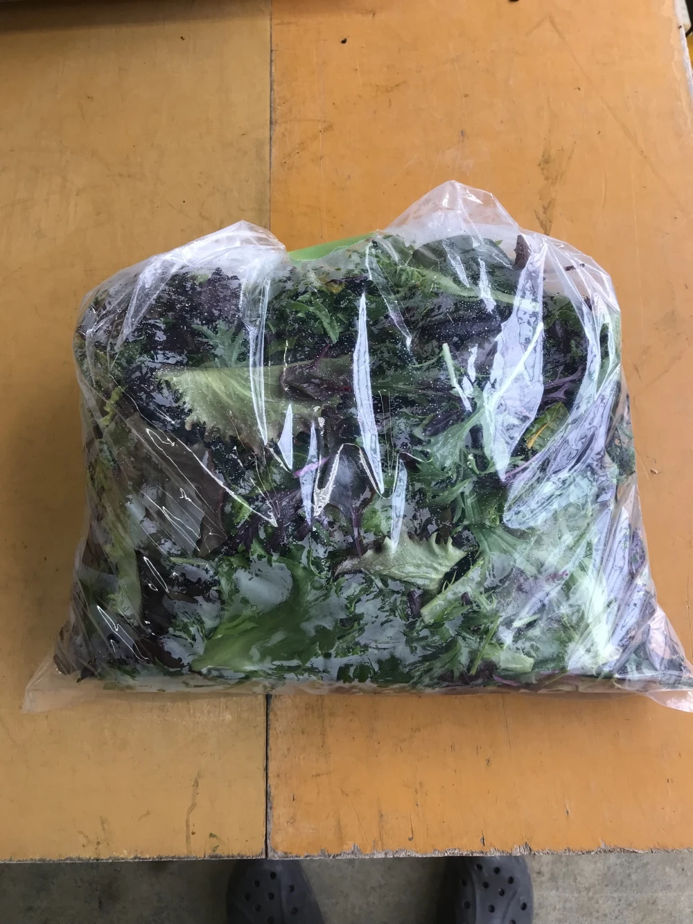 業務用500g×1【違いはわかります！】10種のヨーロピアンリーフミックス