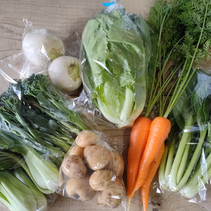 訳あり★発送タイミングおまかせ野菜セット　フードロス対策　パチャママ農園