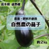 \\自然農 生でも焼いても美味しい//秋ナス 茄子 真黒茄子《無農薬・無肥料》