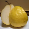 訳あり！幻の西洋梨〖 ル・レクチェ 〗ルレクチェ2キロ