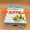 訳あり！極早生小粒２Sサイズ　甘酸っぱいフレッシュなお味♪岩国みかん５㎏