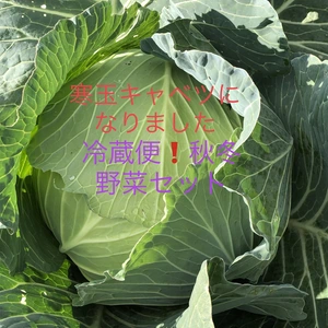 季節の野菜（秋冬バージョン）セット