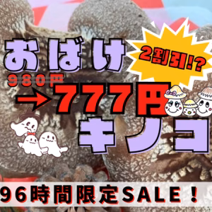 【96時間限定SALE】食べ応えのある特大しいたけ！ご自宅用に！訳あり！
