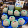 【令和5年品質優良賞受賞】茨城県産 アンデスメロン２玉