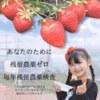 【産直極メシ出演話題】じゃらん3年連続グランプリあまおうたっぷり4パック