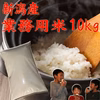 在庫処分特別価格   業務用米10kg (白米)新潟県産　令和3年産