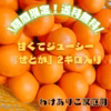 \送料無料セール/　〜柑橘の最高峰・せとか《ご家庭用》