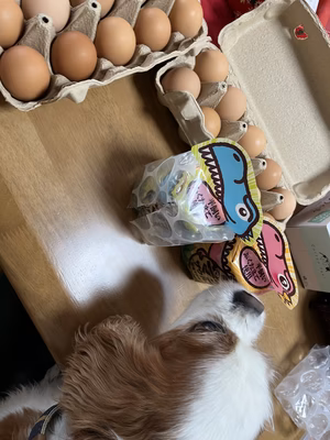 みんなの投稿の画像