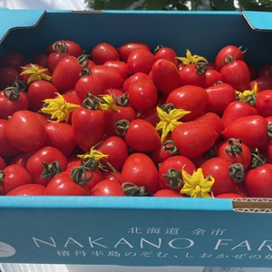 お値段以上の美味しさ‼️濃厚トマトベリー3kg