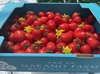 お値段以上の美味しさ‼️濃厚トマトベリー