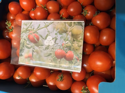 みんなの投稿の画像