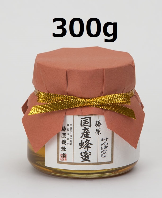 藤原国産蜂蜜 けんぽなし 藤原養蜂場 160g