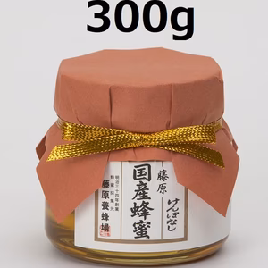 藤原国産蜂蜜　けんぽなし 藤原養蜂場