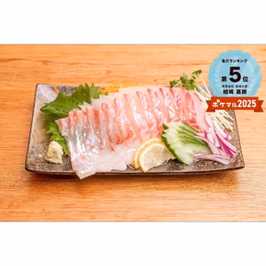 マダイ　内臓ウロコ取り　血抜き神経締め処理