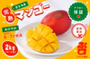 ぷすぷすマンゴー2キロ（4～5玉）【7月配送予定】