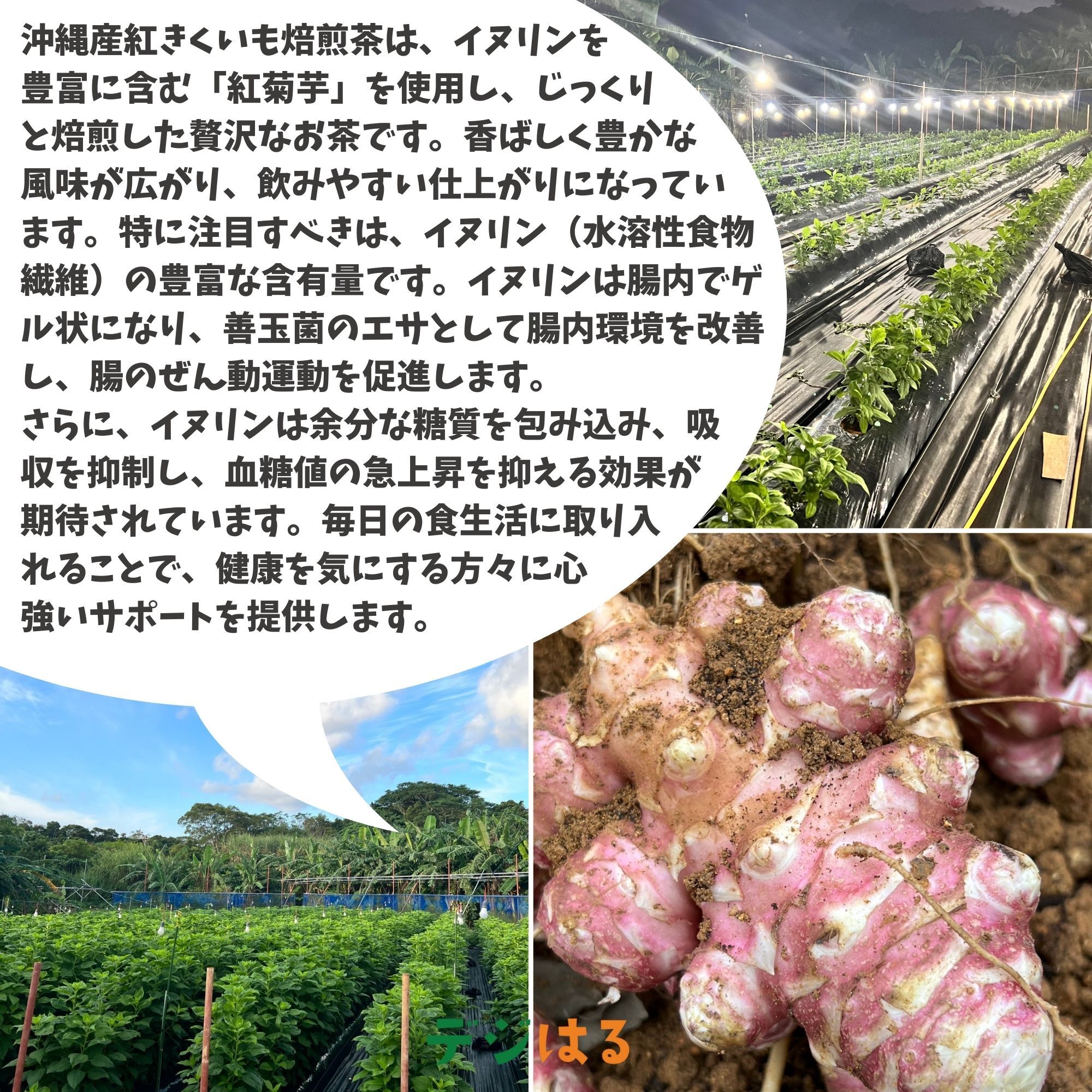 ◎自然栽培◎春ウコン種芋◎箱いっぱい◎即発送◎ - 野菜