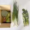 「冷蔵で発送」野菜　おまかせ6品セット　80サイズ　3kg〜4kg