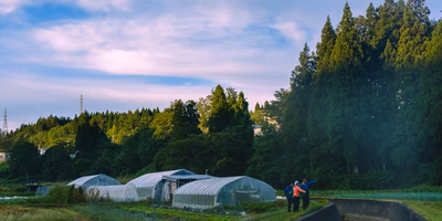固定種野菜セットを“とり”に、青森の森山さんの畑に行ってきたよ