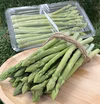 自然豊かな美祢市植柳で育てたアスパラガスパック（春芽）