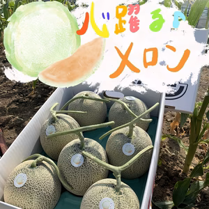 純粋な甘味に心躍る♪赤肉♪富良野メロン　7玉入り(8kg)