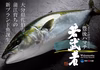 年末予約-ビール酵母で育てた豊後ハマチ-若武者【丸一本】