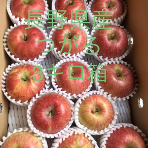 信州産サンつがる