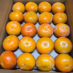 ☆富有柿☆大容量Ｓサイズ43個入り　約7.5㎏　ご家庭用