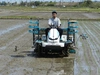 新潟R２産籾貯蔵コシ伊助 ６年連続残留農薬ゼロ　無洗玄米5Ｋｇ 