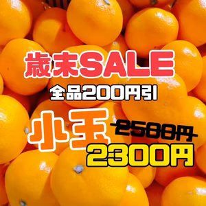 小玉【歳末SALE】在庫限り旨い！安い！甘い！食べてみて熊本みかん