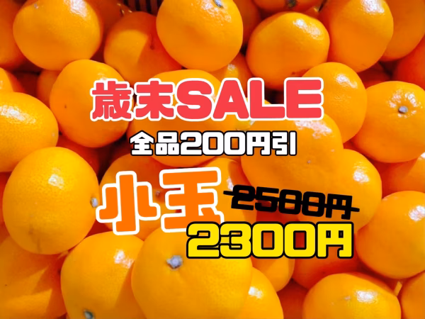 小玉【歳末SALE】在庫限り旨い！安い！甘い！食べてみて熊本みかん