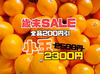小玉【歳末SALE】在庫限り旨い！安い！甘い！食べてみて熊本みかん