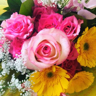 みんなの投稿の画像